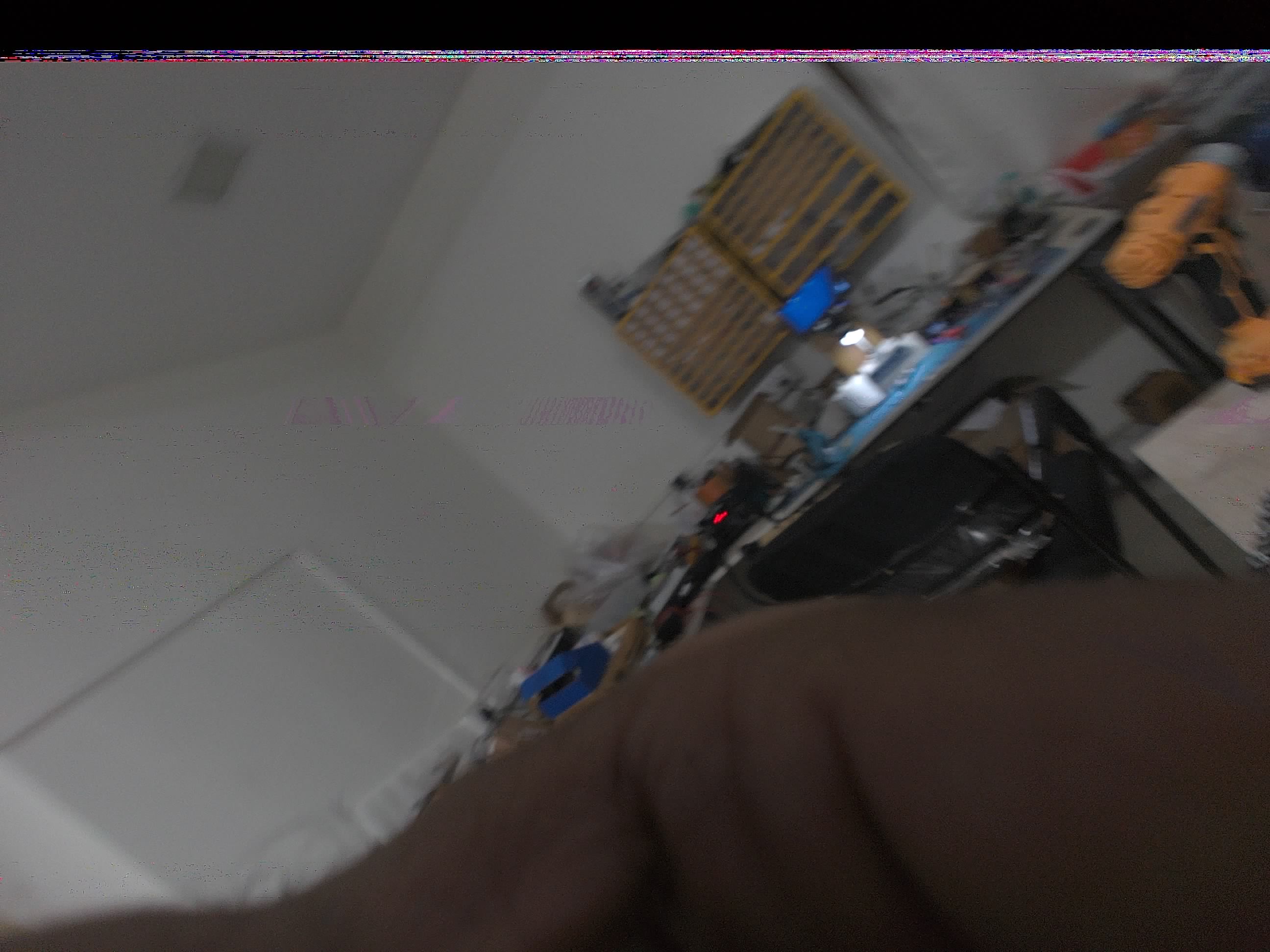 Forest monitoring image