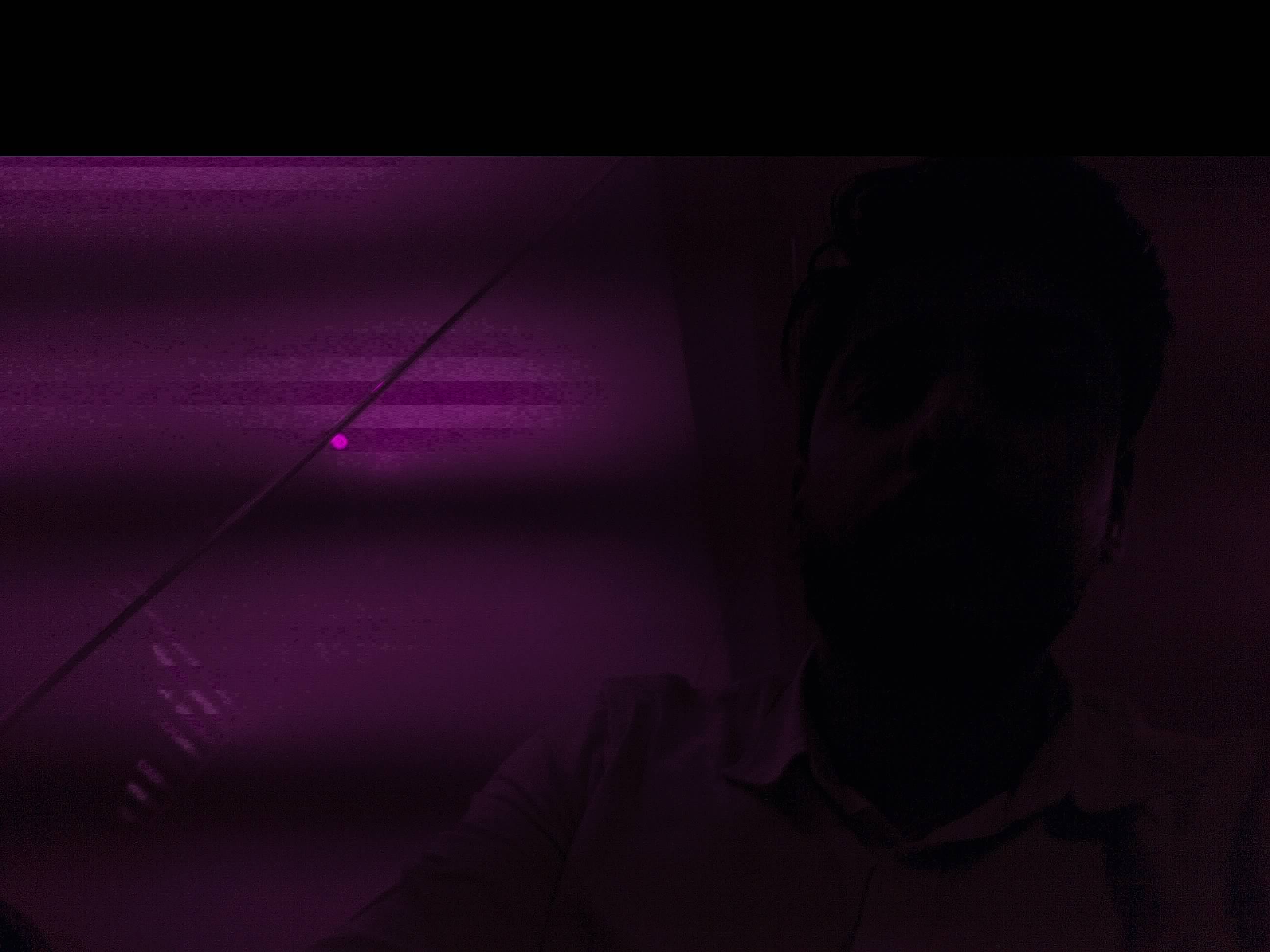 Forest monitoring image