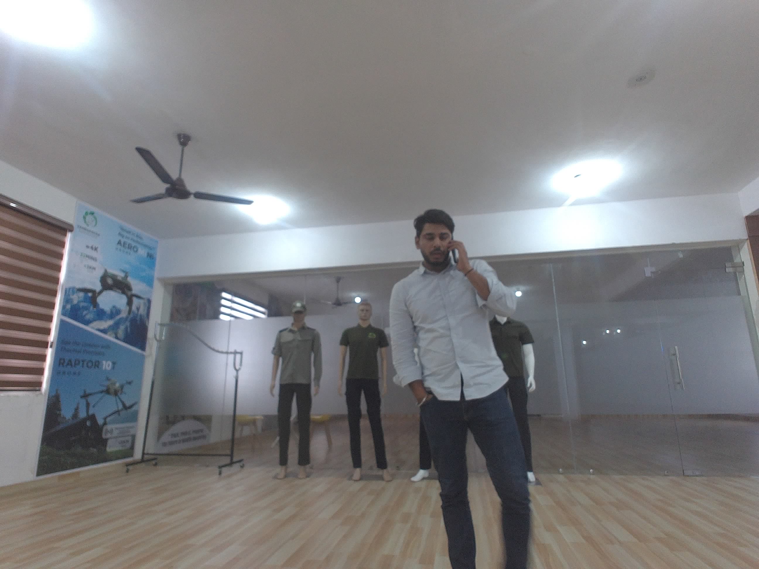 Forest monitoring image