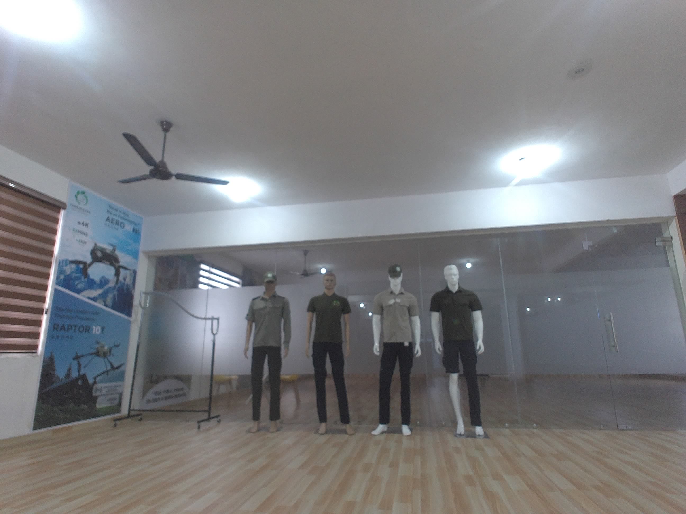 Forest monitoring image