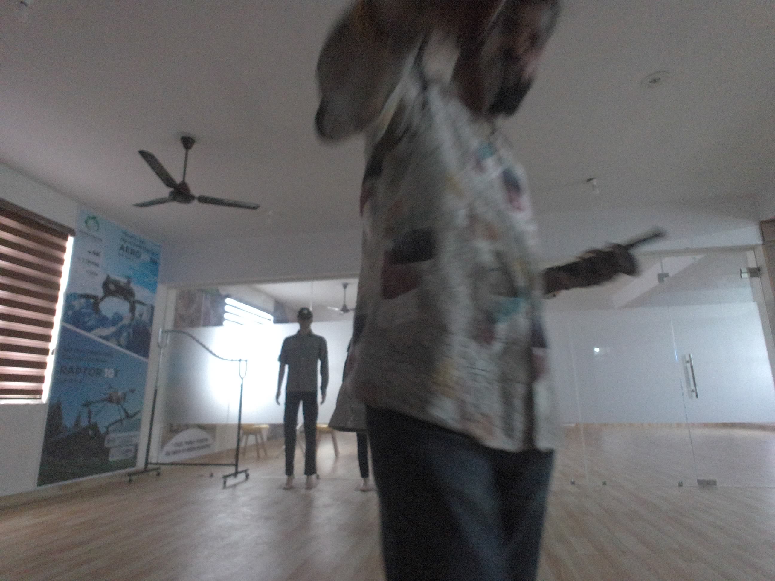 Forest monitoring image