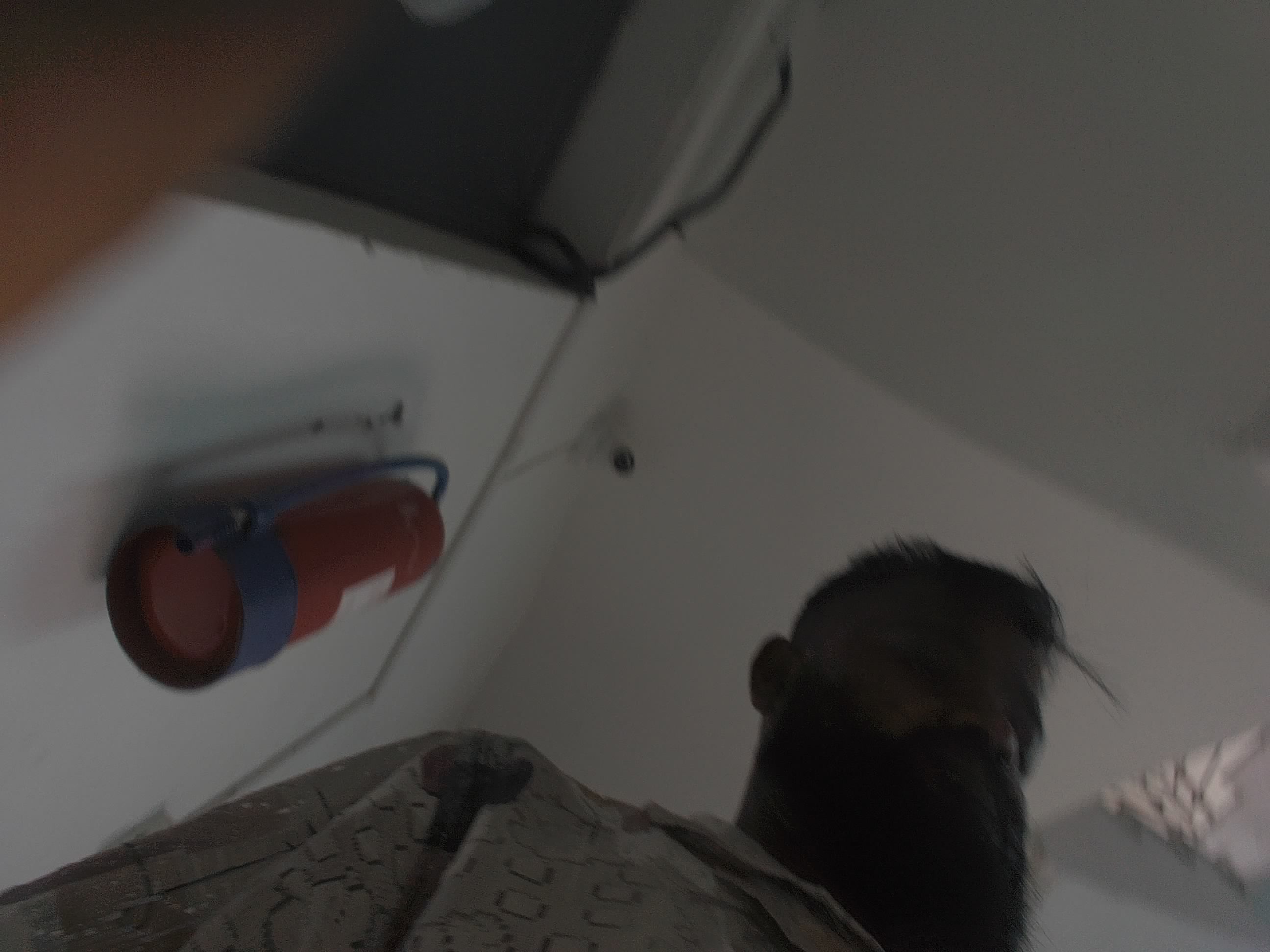 Forest monitoring image