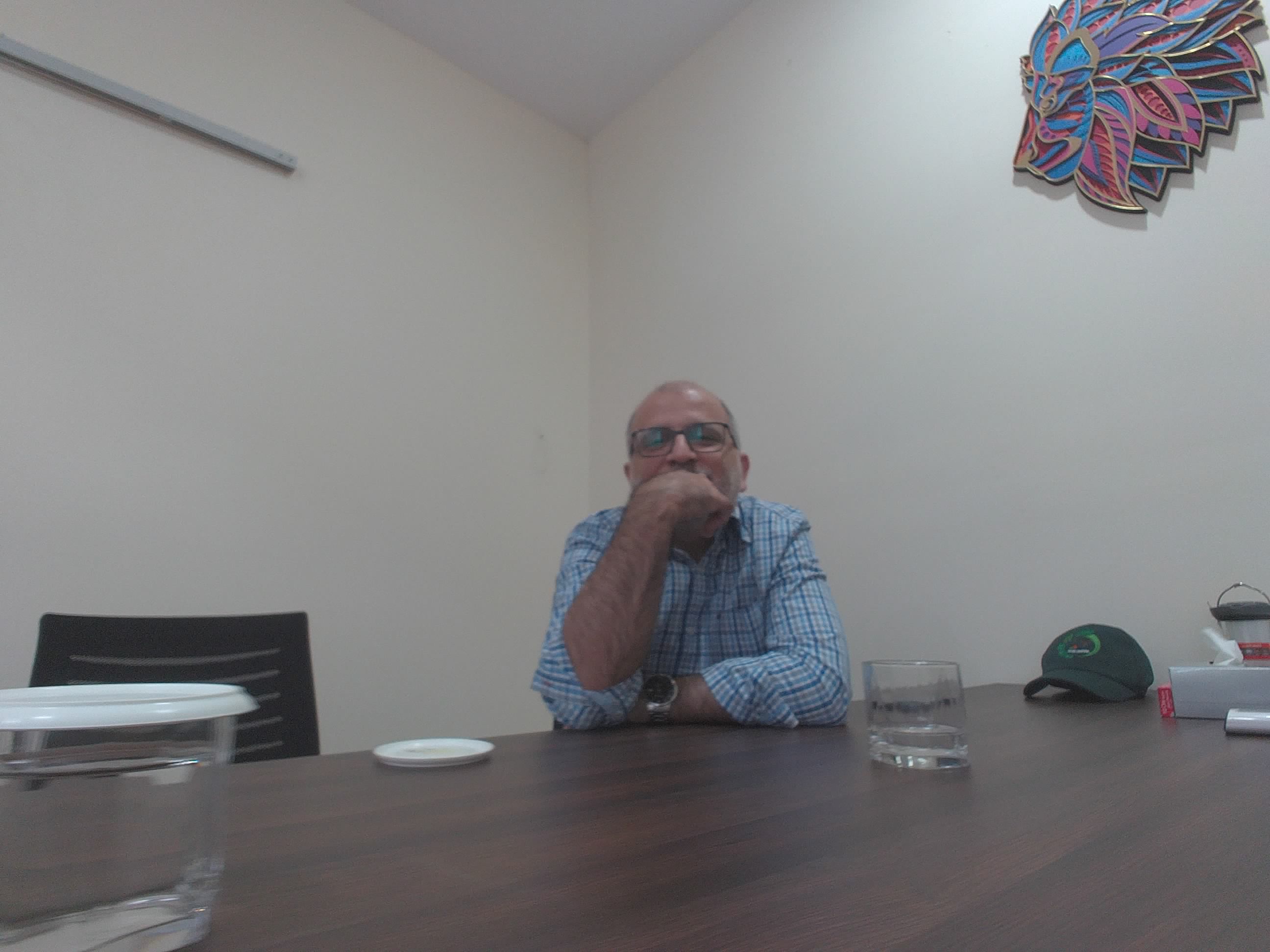 Forest monitoring image