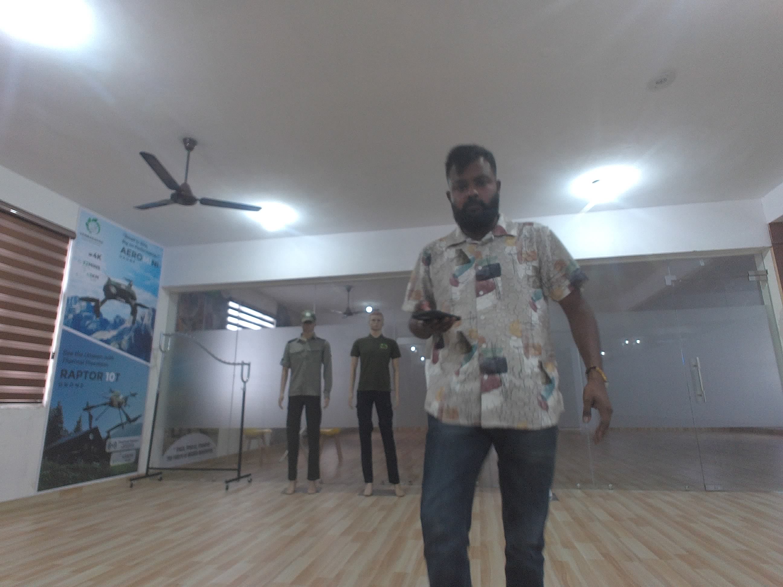 Forest monitoring image