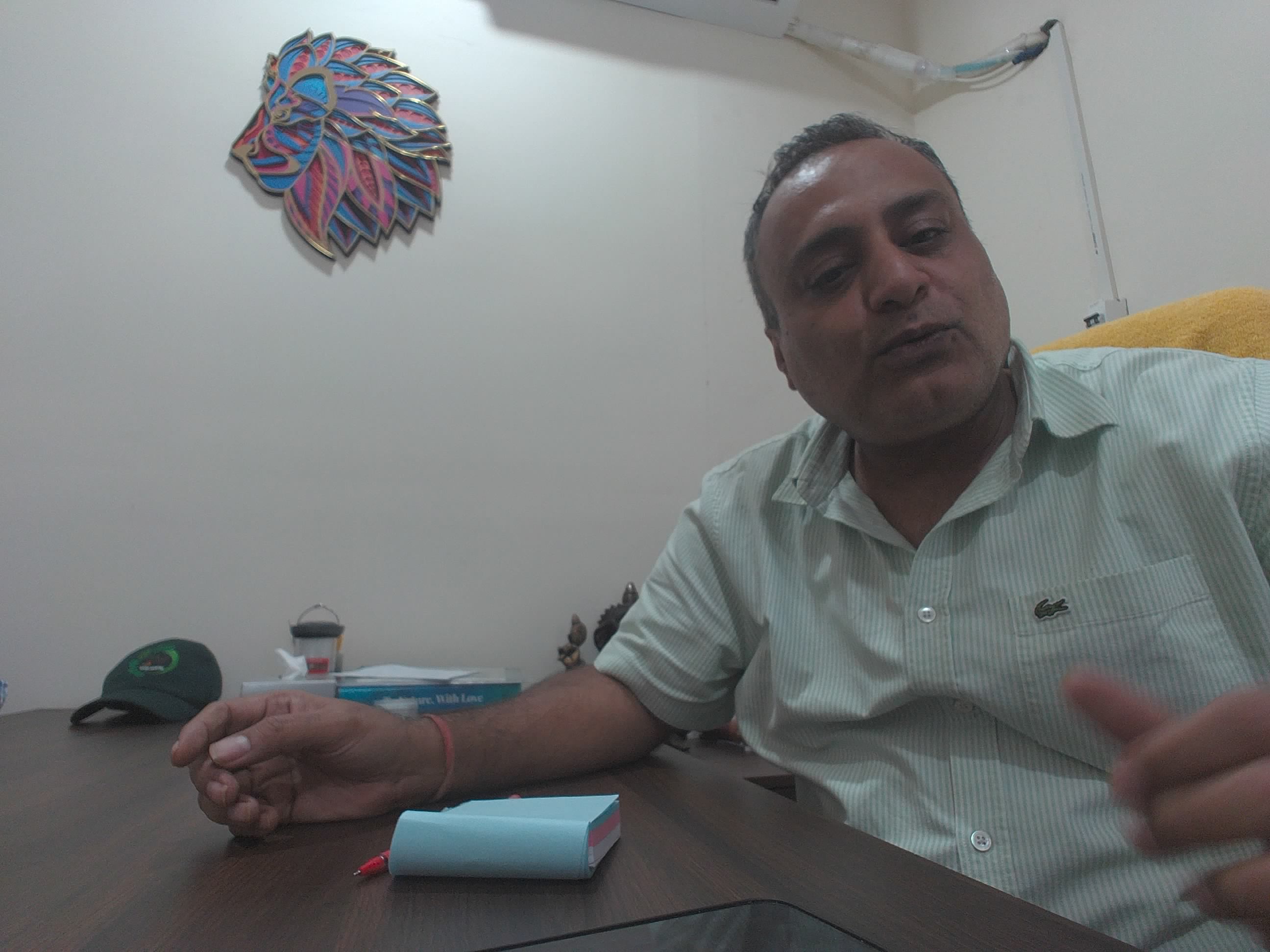 Forest monitoring image