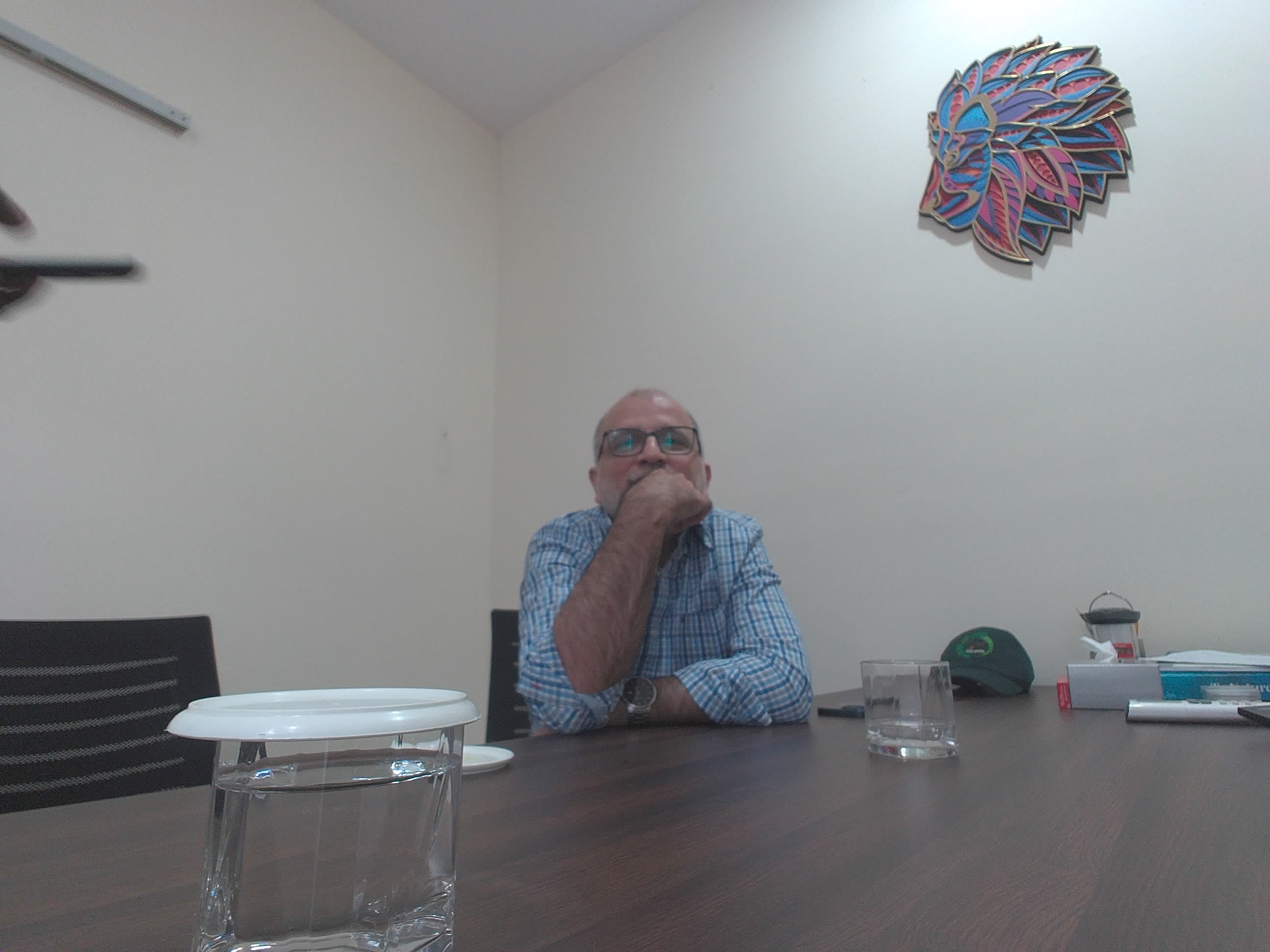 Forest monitoring image