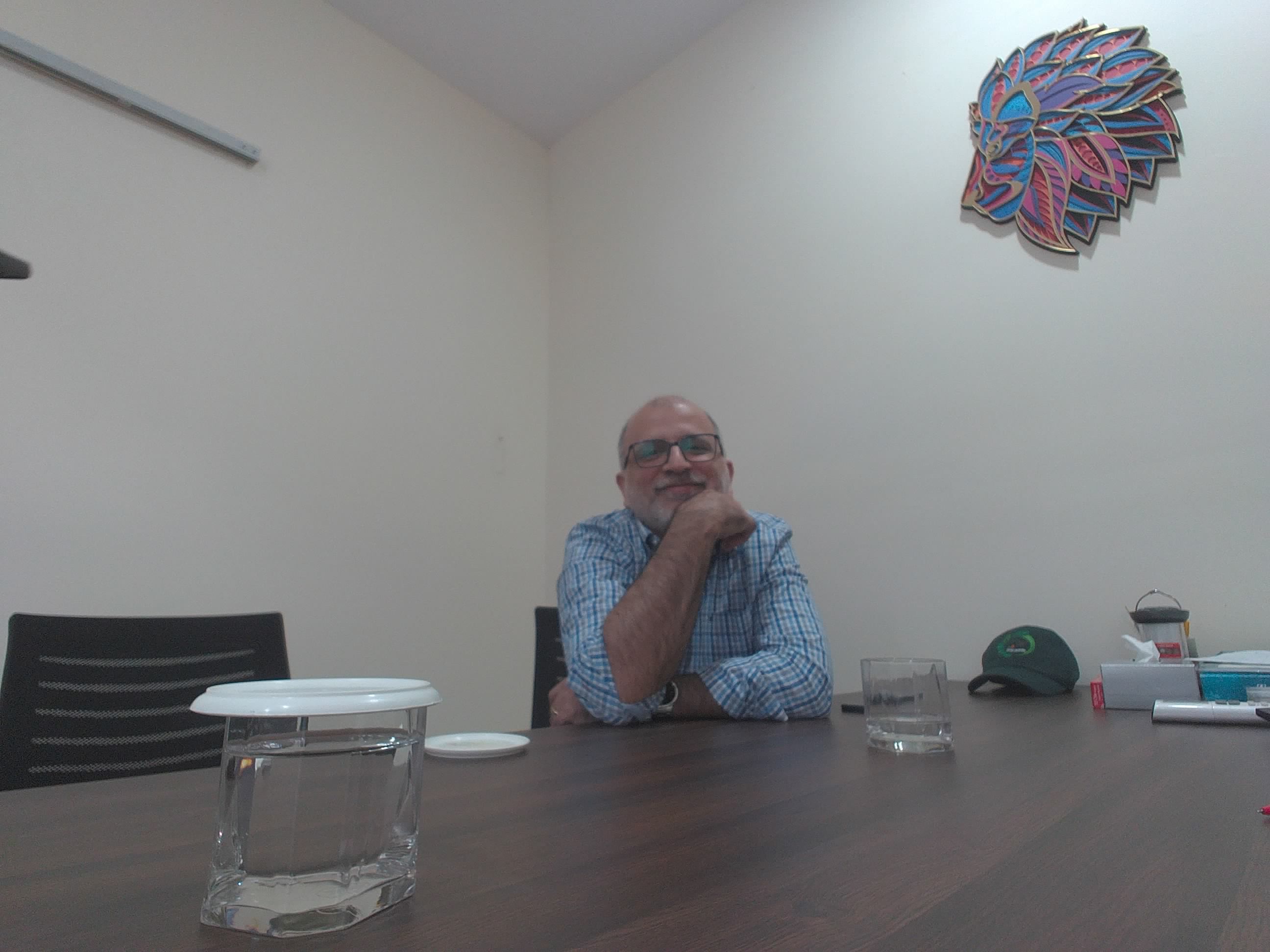 Forest monitoring image