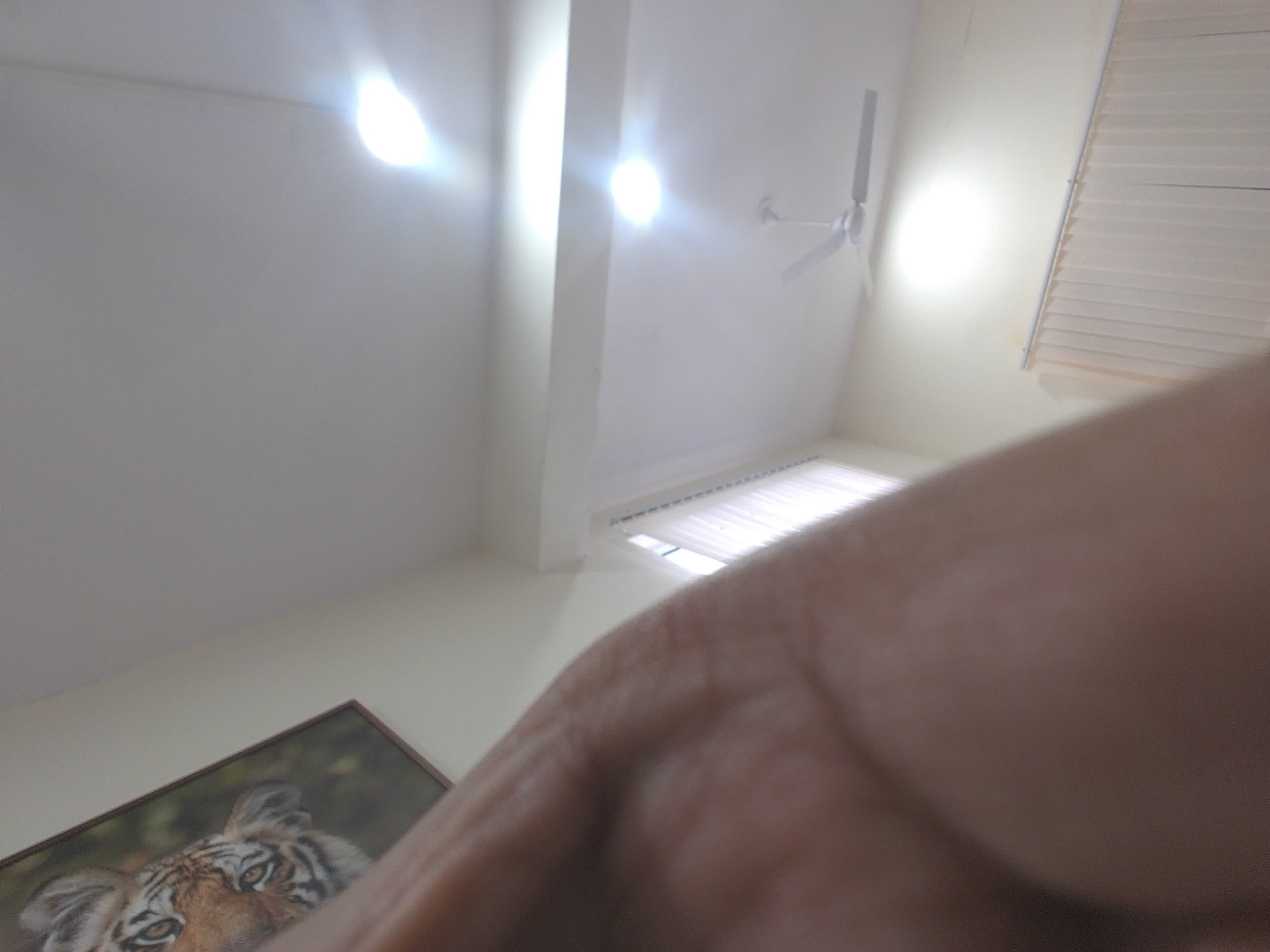 Forest monitoring image