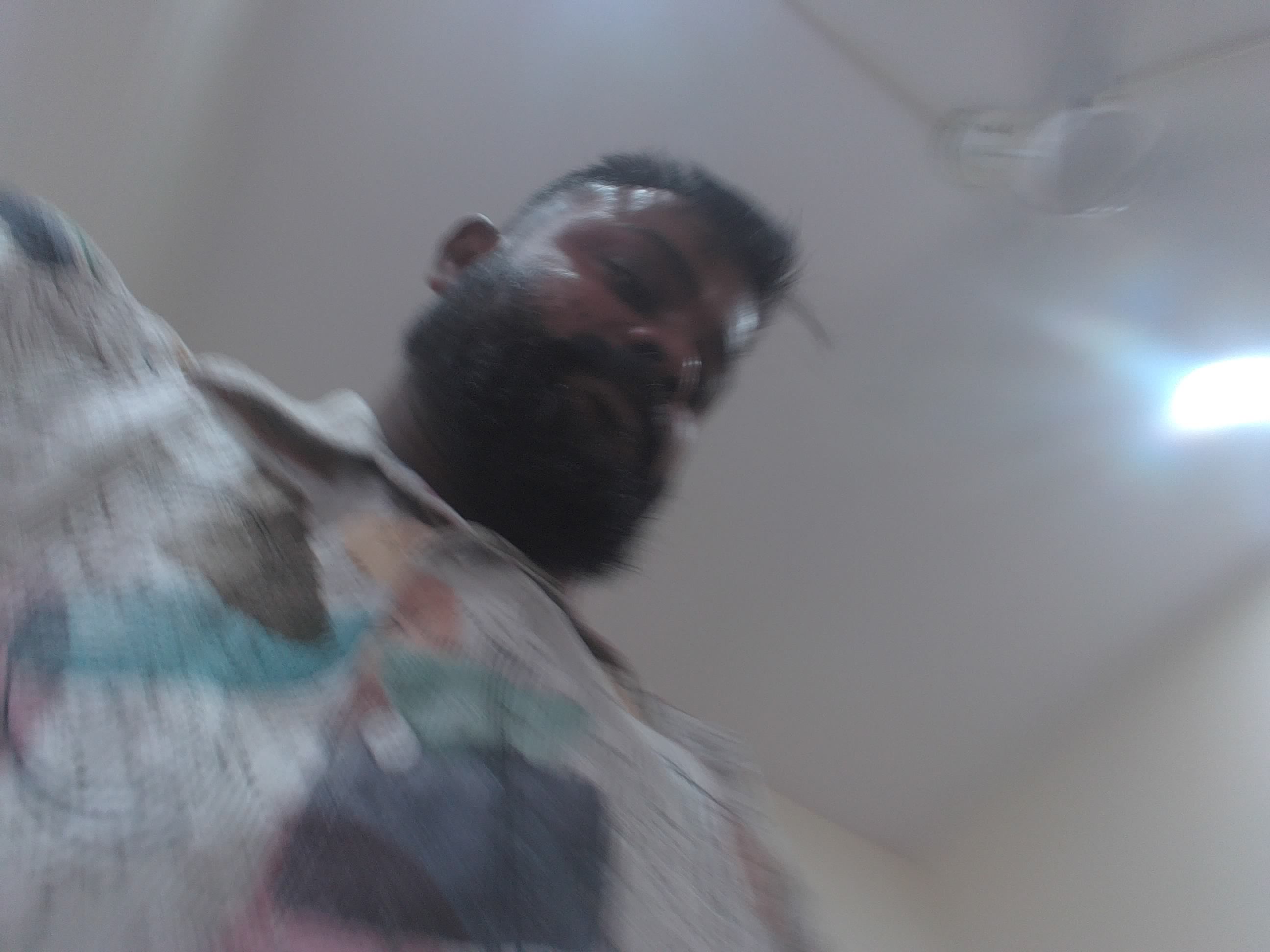 Forest monitoring image