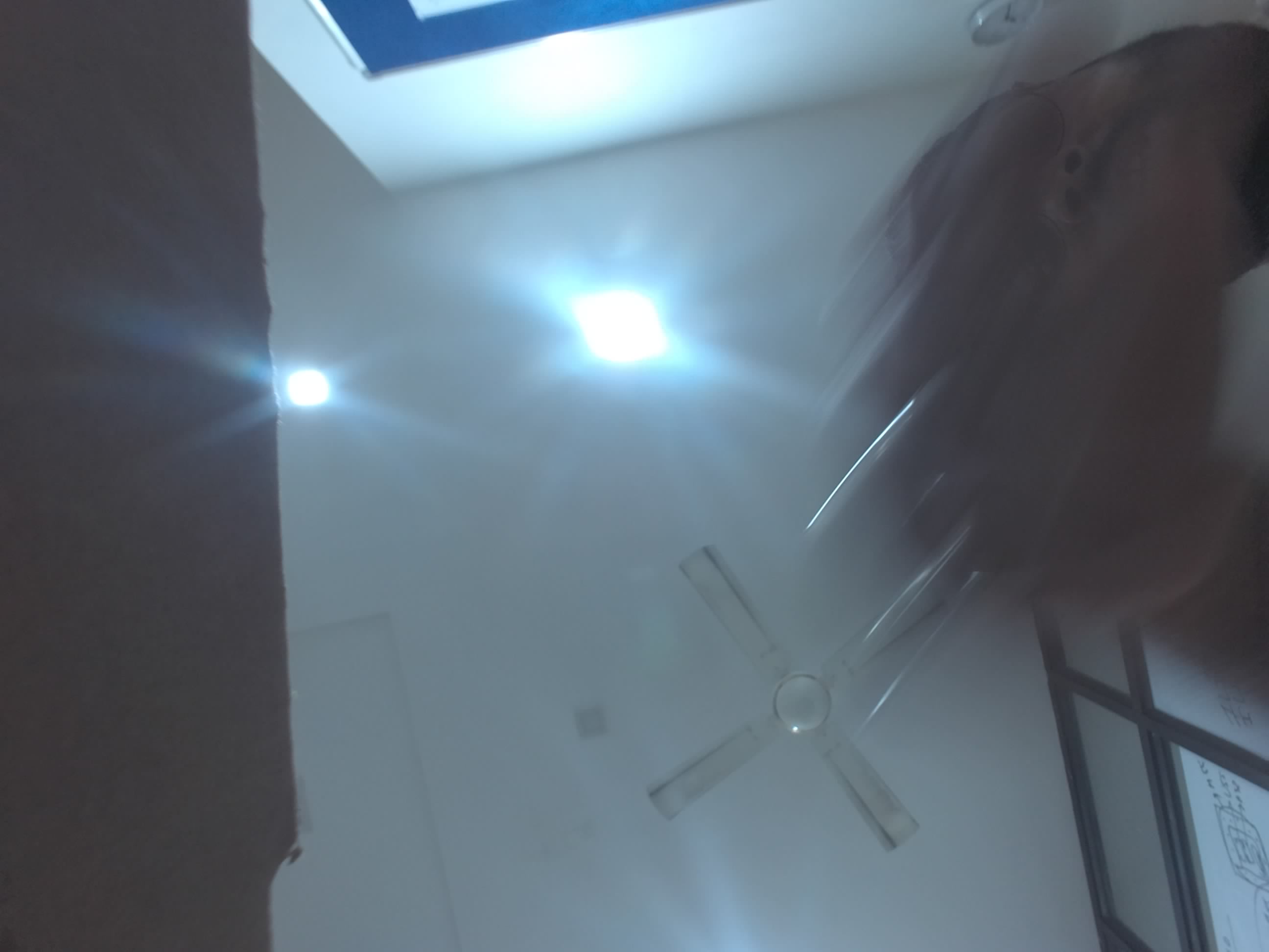 Forest monitoring image