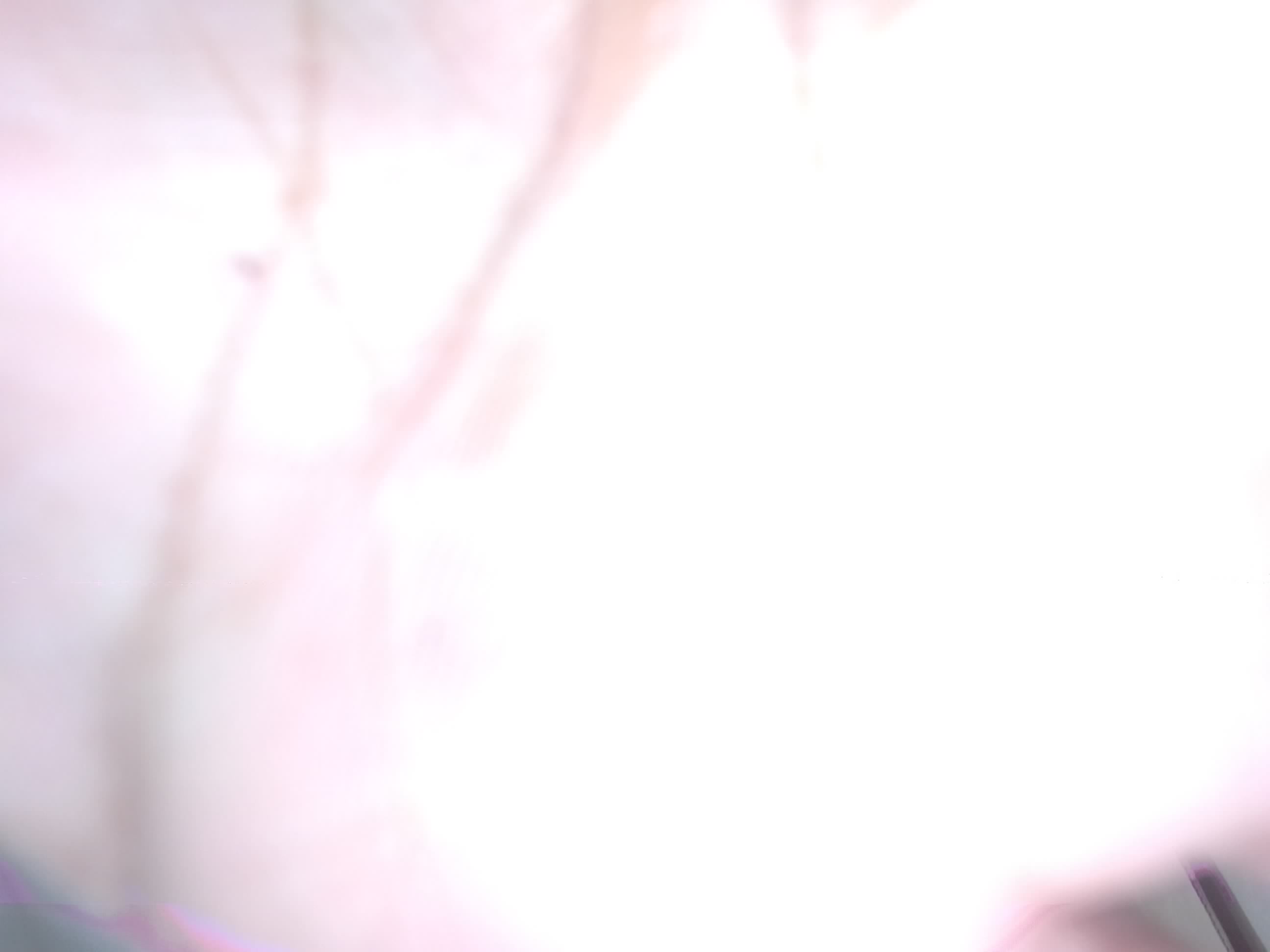 Forest monitoring image