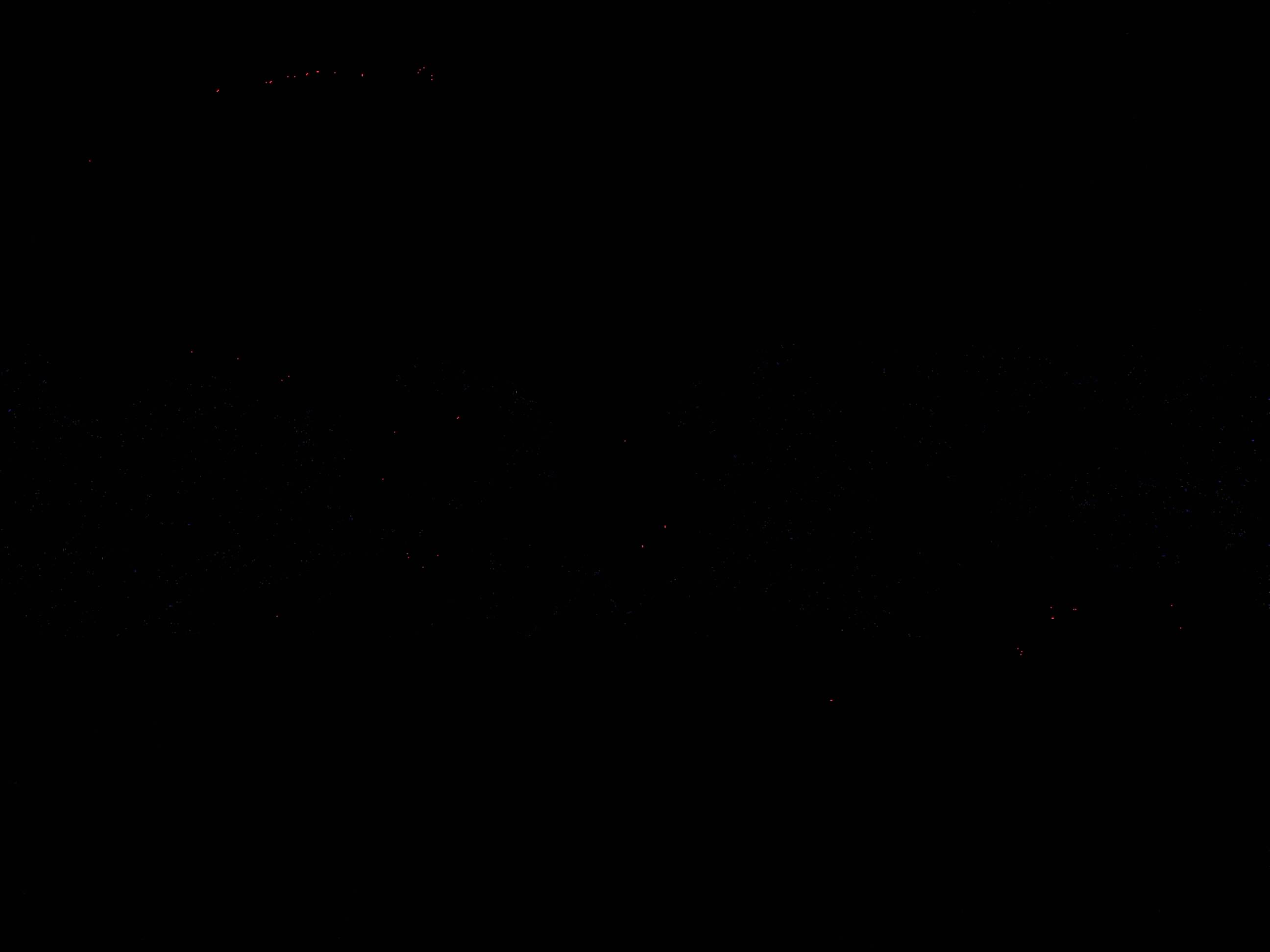 Forest monitoring image