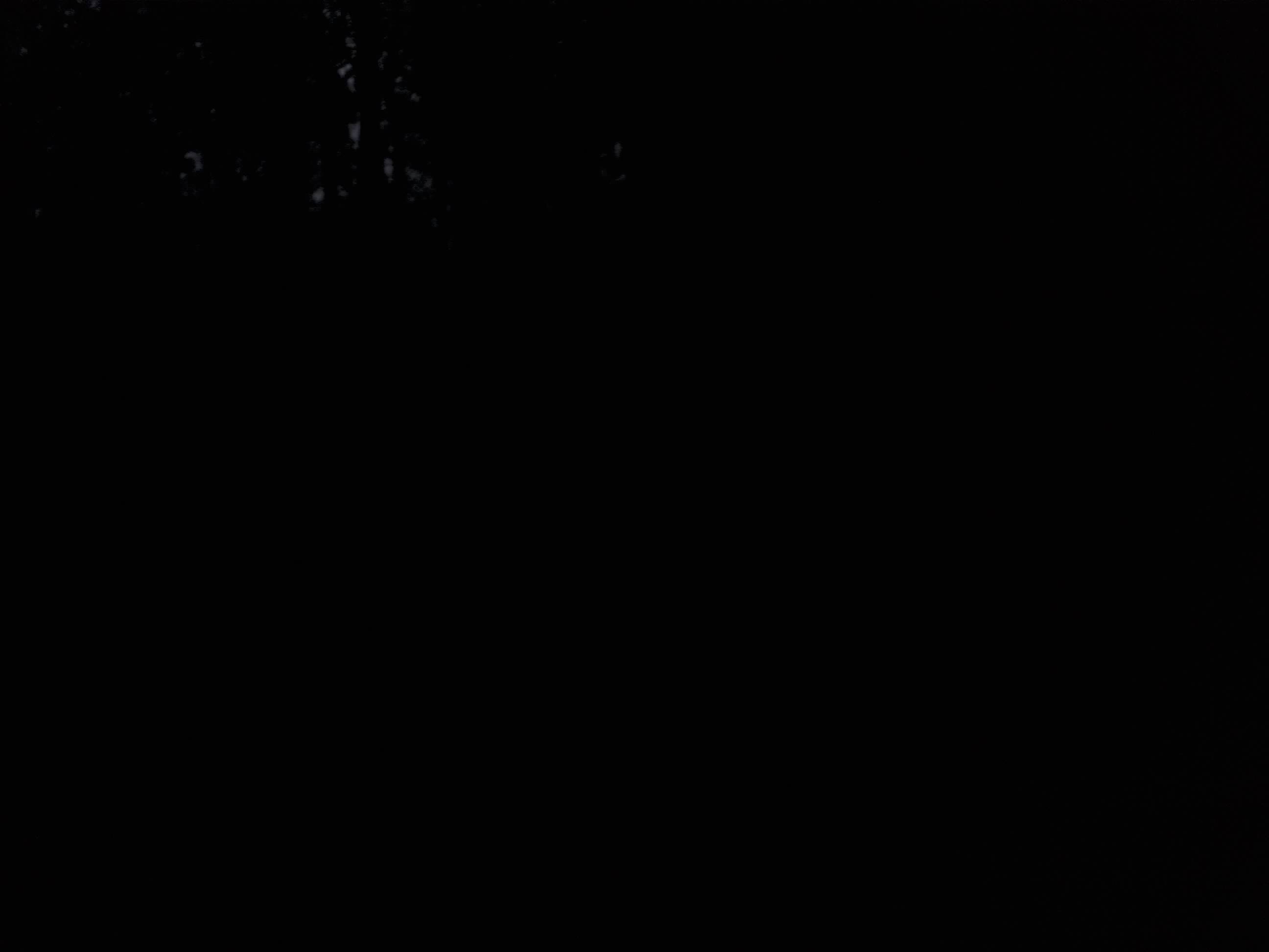 Forest monitoring image