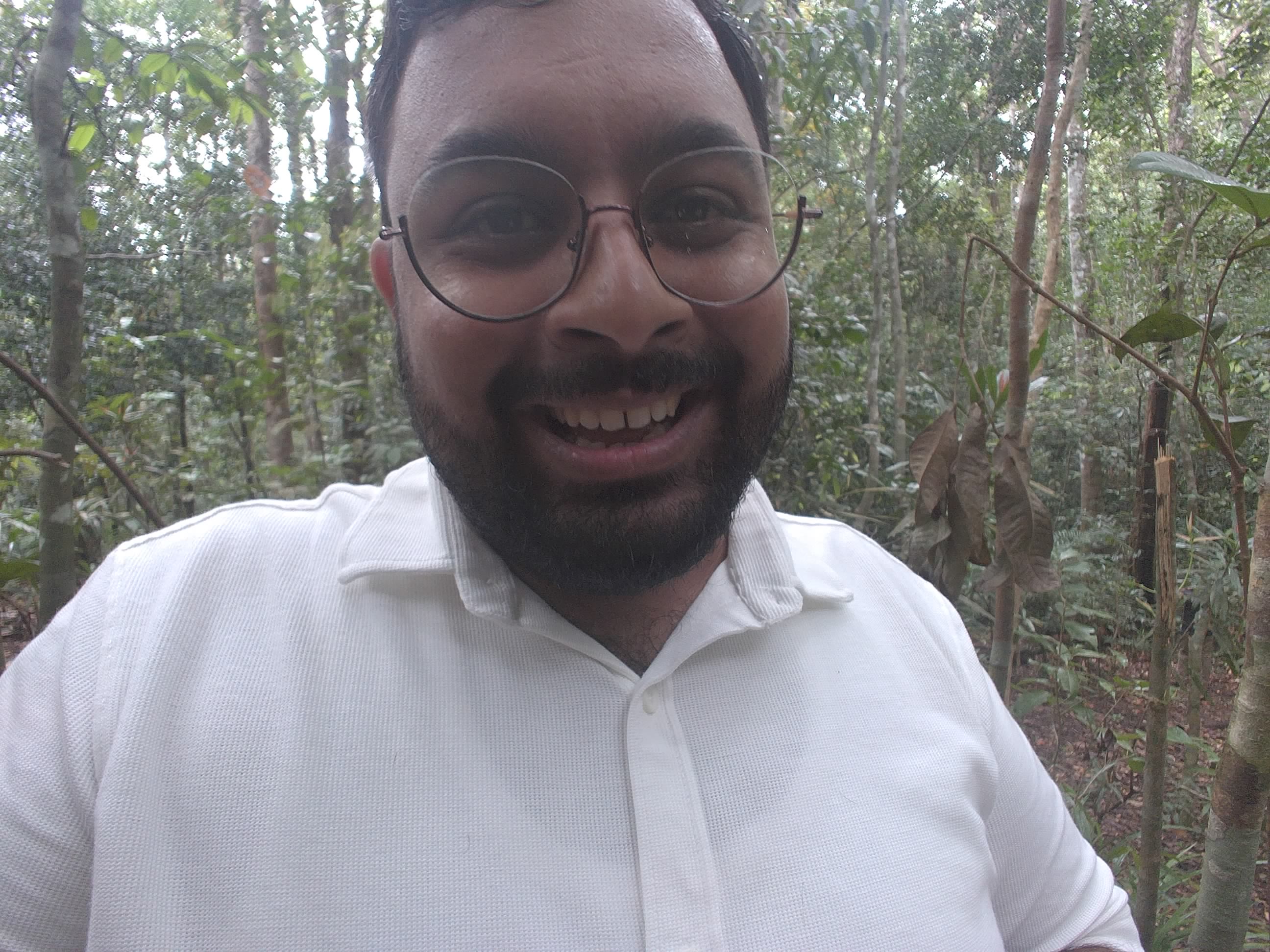 Forest monitoring image