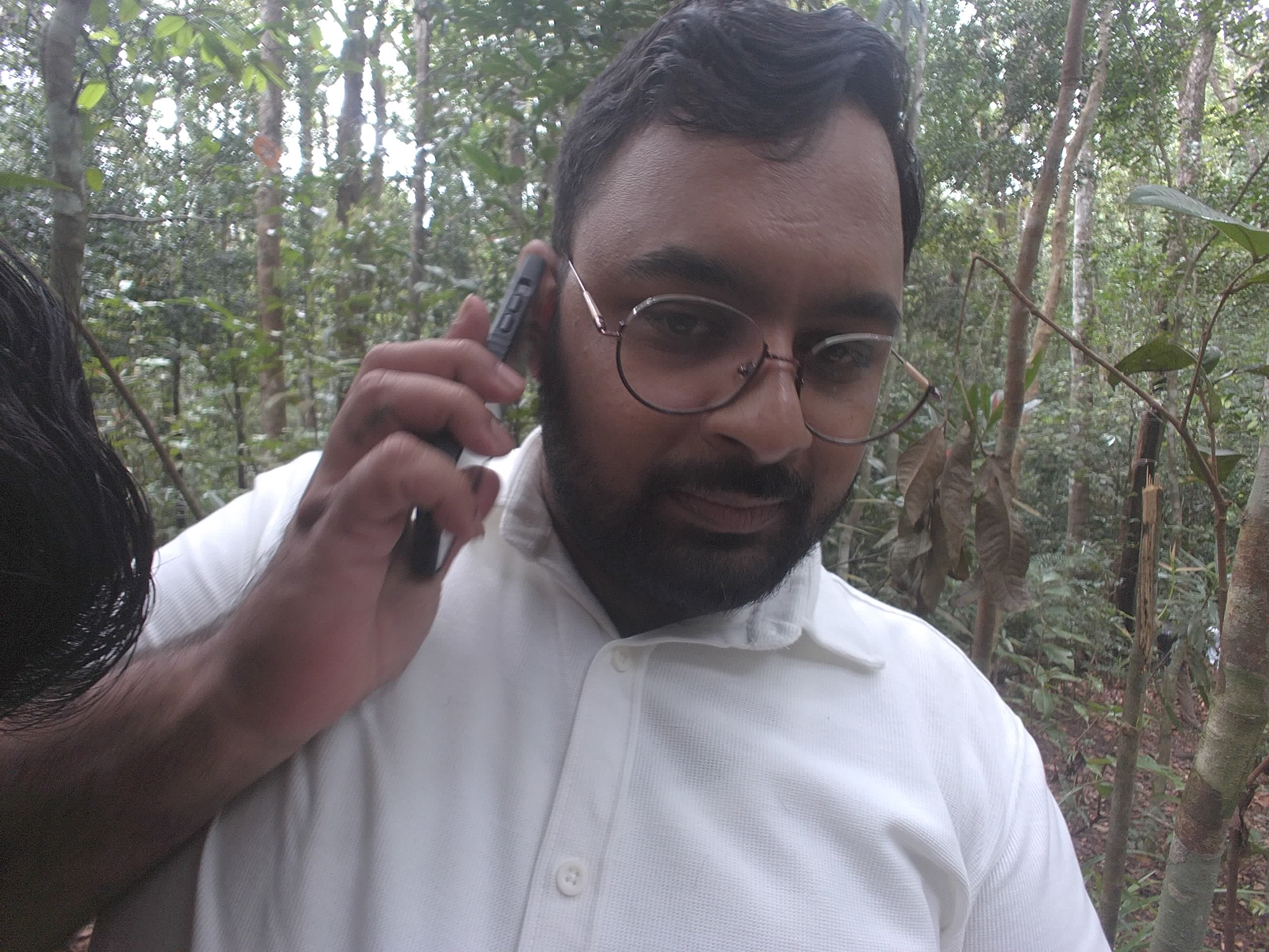 Forest monitoring image