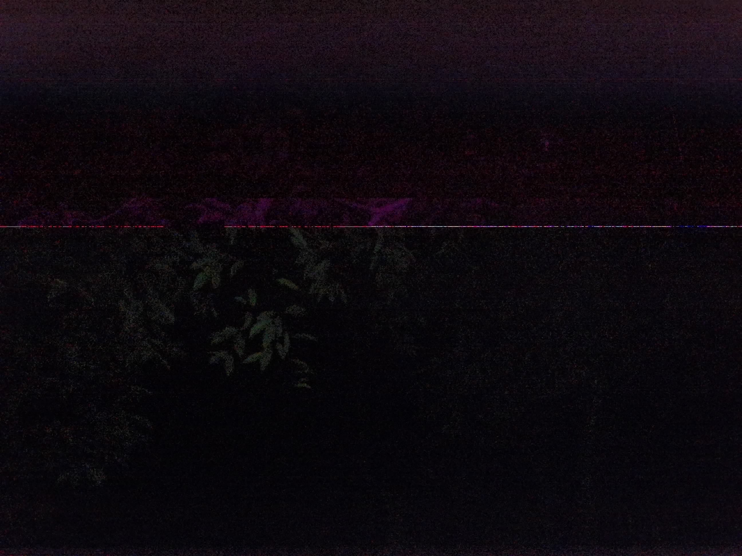 Forest monitoring image