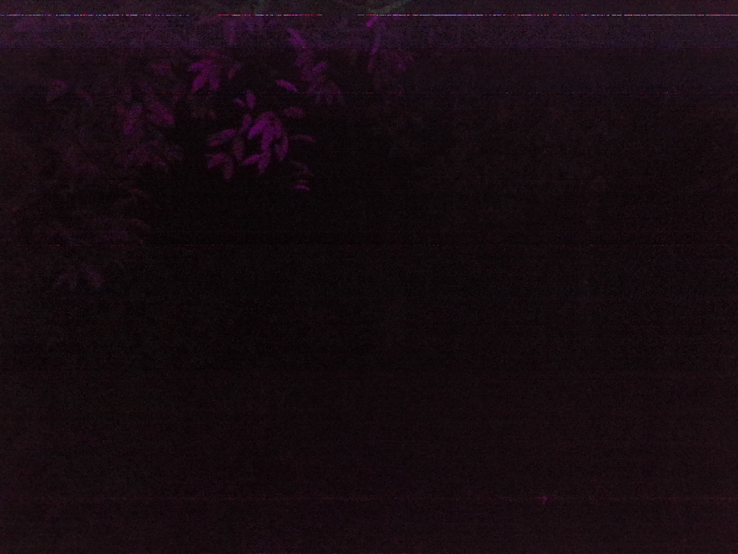 Forest monitoring image