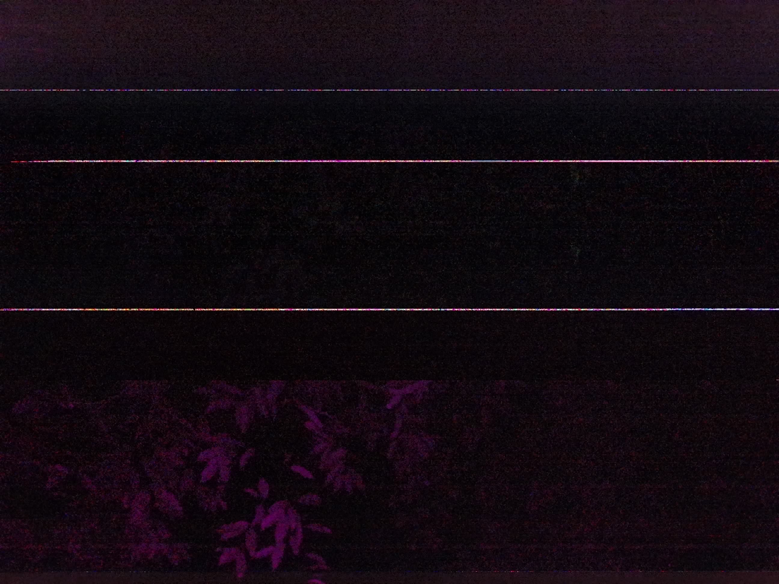 Forest monitoring image