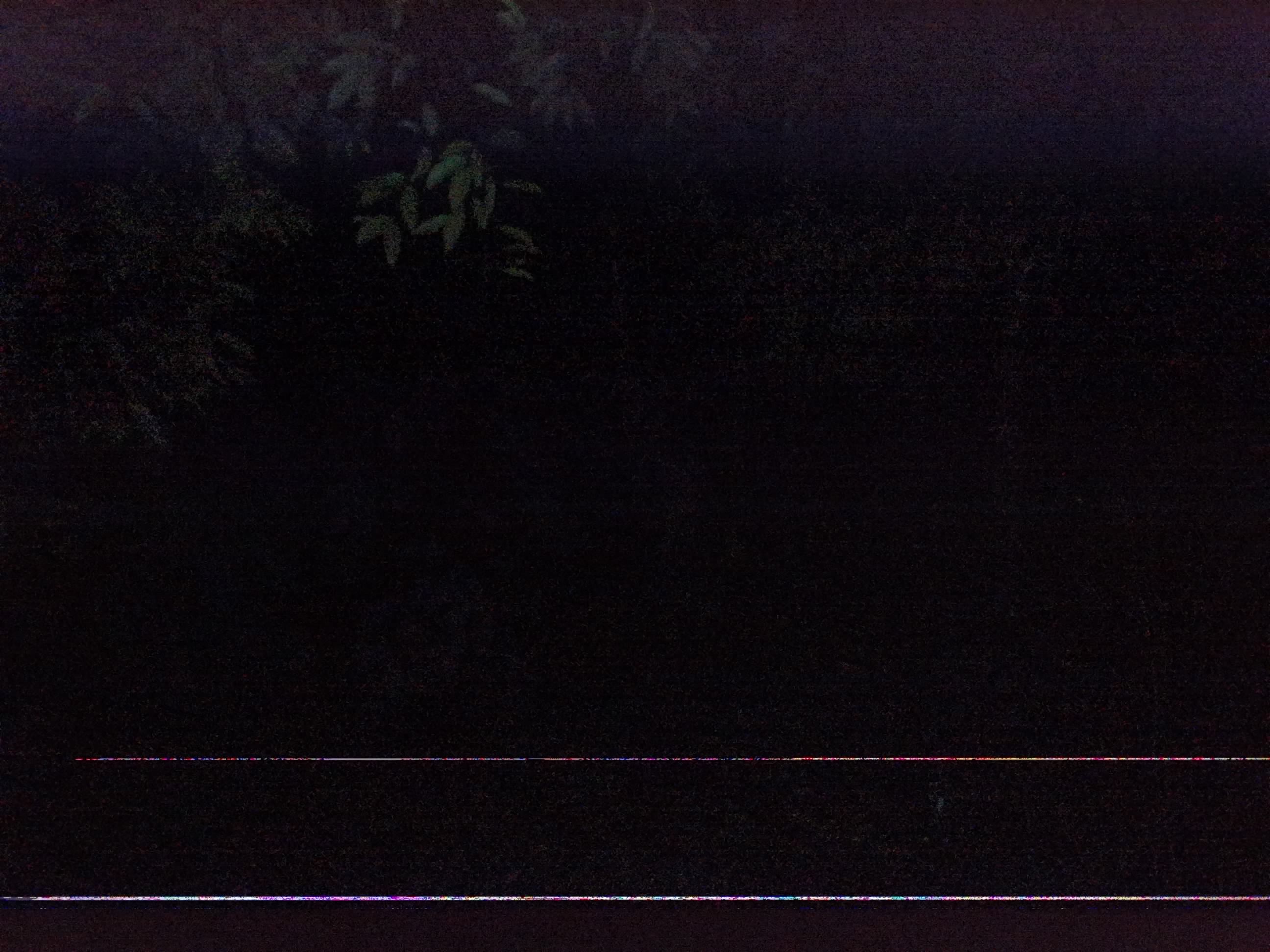 Forest monitoring image