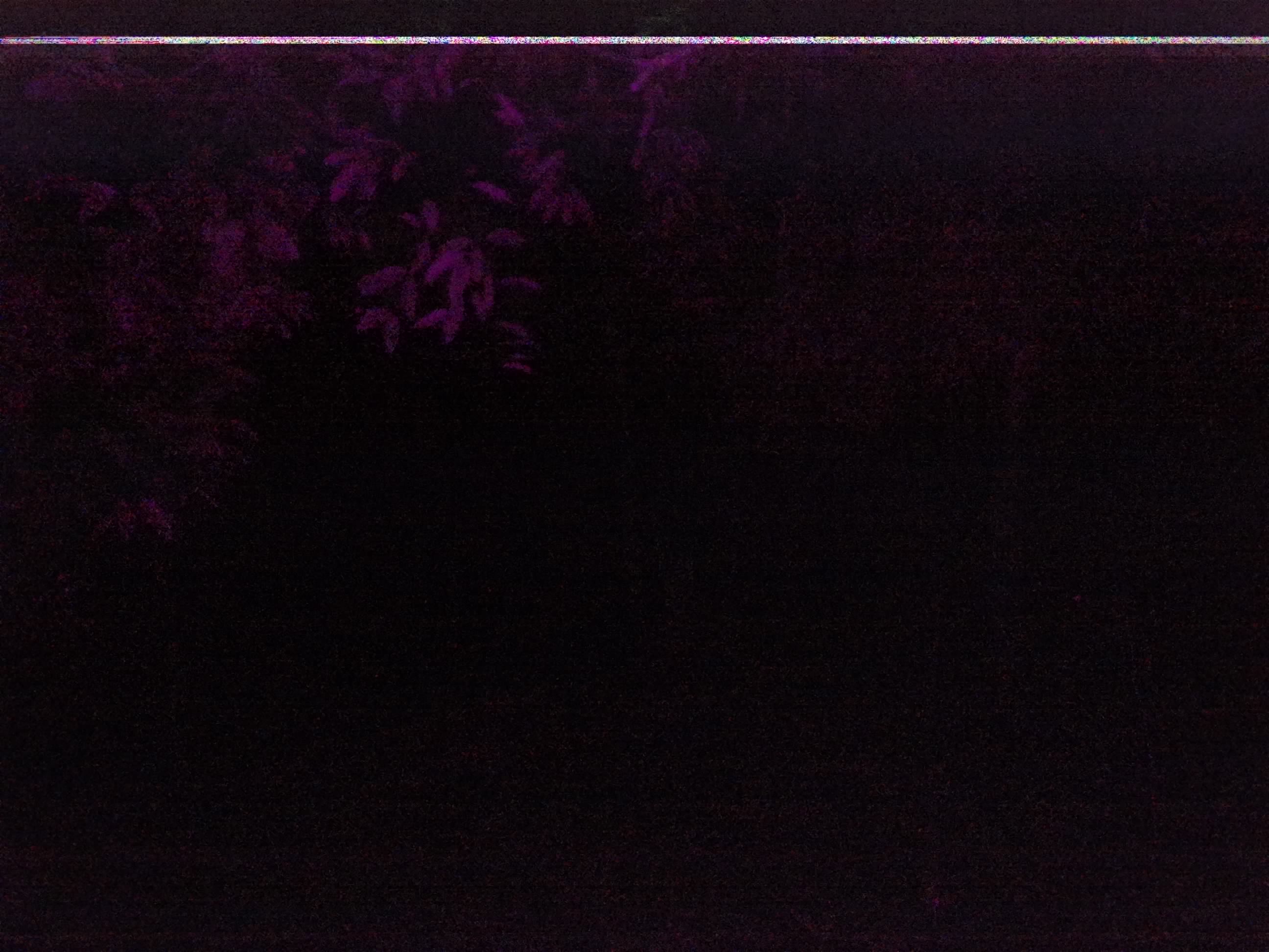 Forest monitoring image