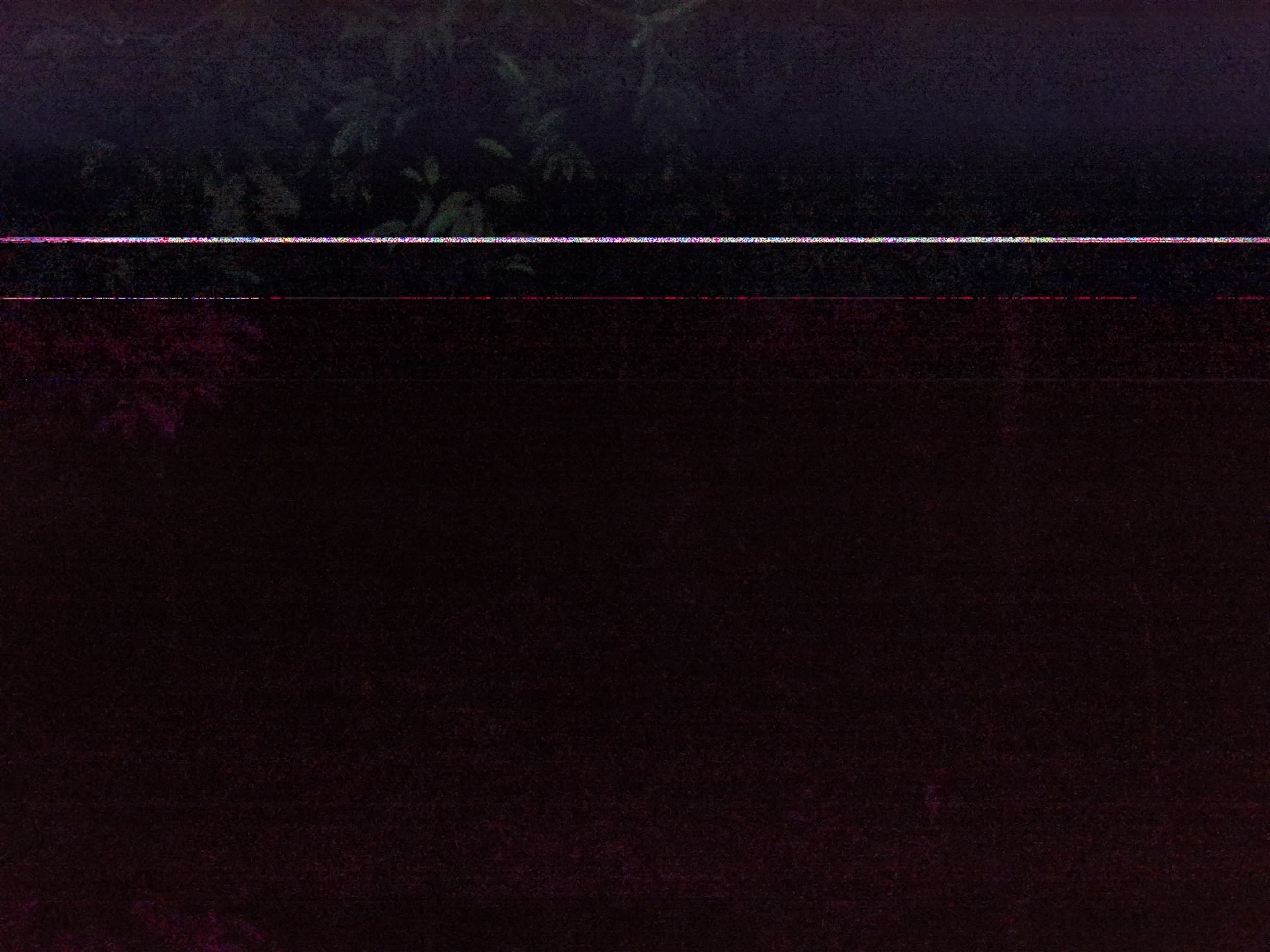 Forest monitoring image