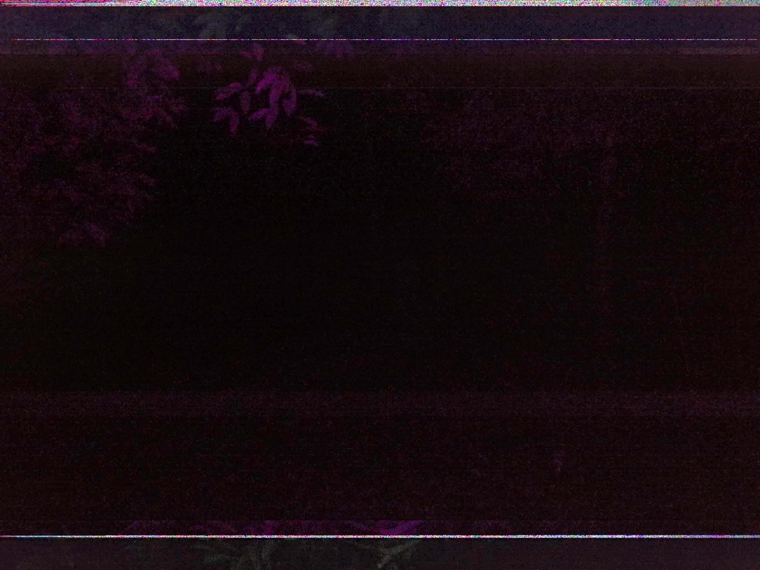 Forest monitoring image