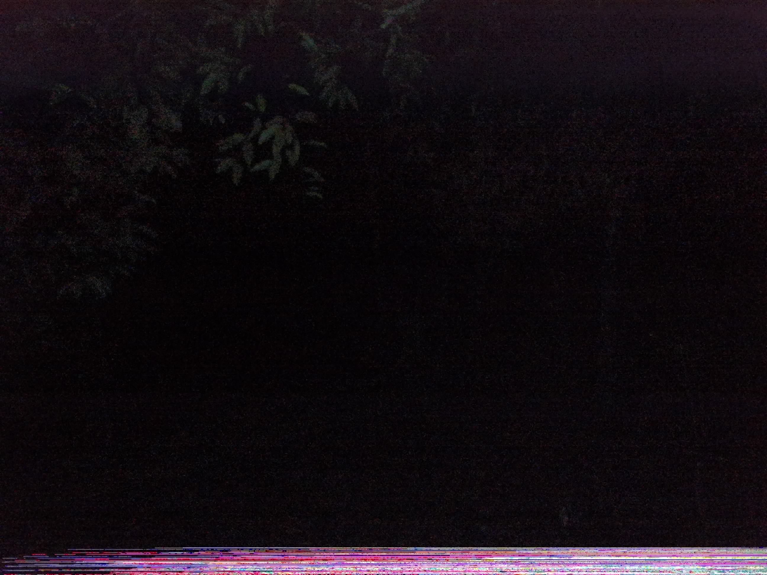 Forest monitoring image