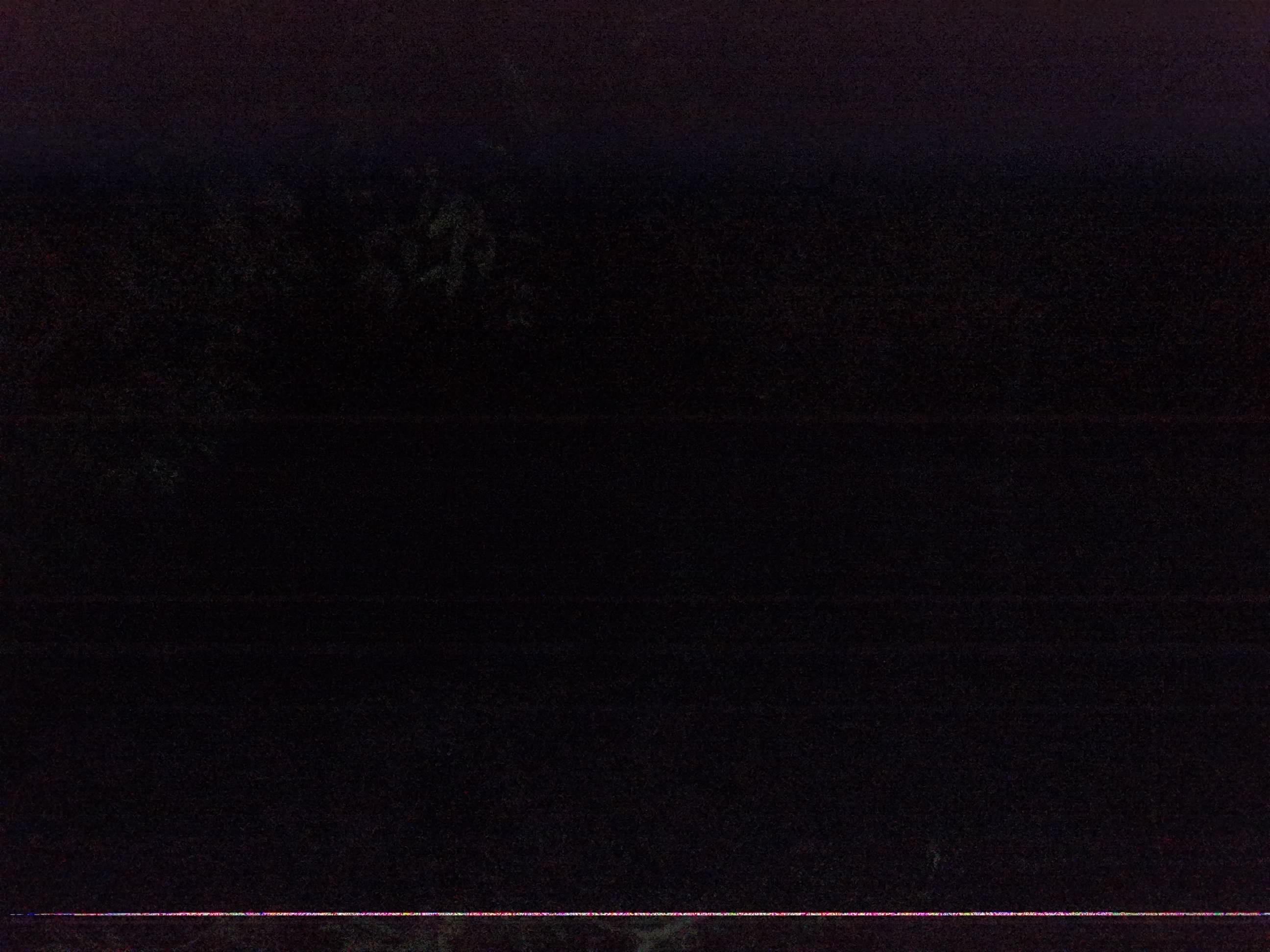 Forest monitoring image