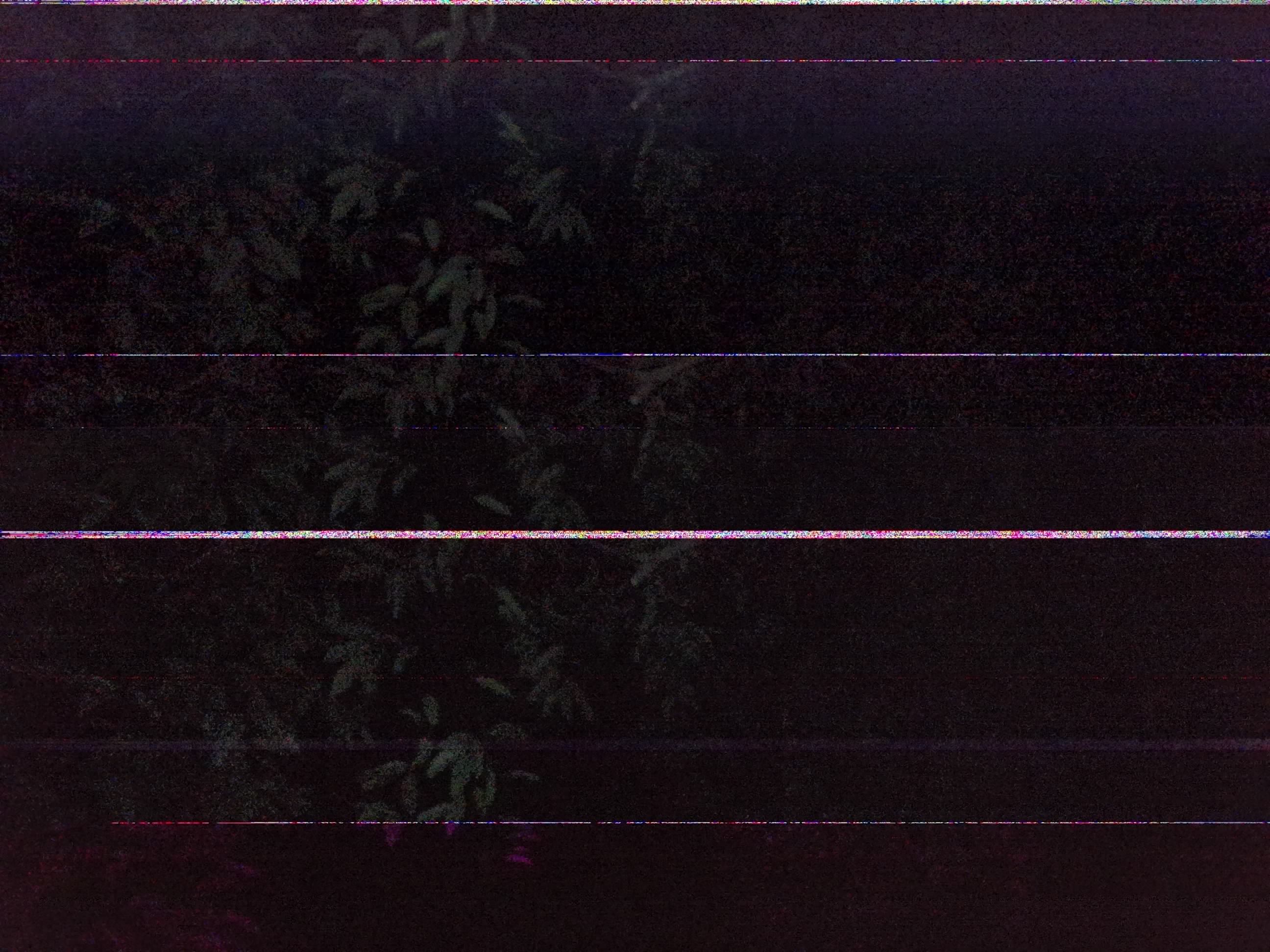 Forest monitoring image